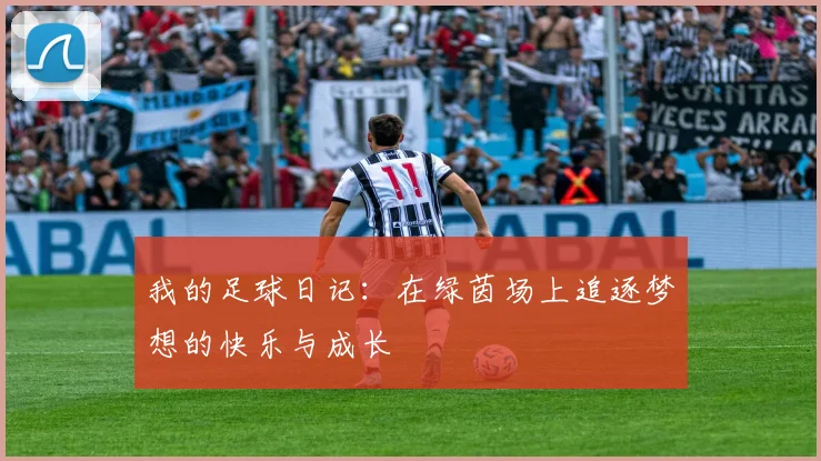 我的足球日记：在绿茵场上追逐梦想的快乐与成长